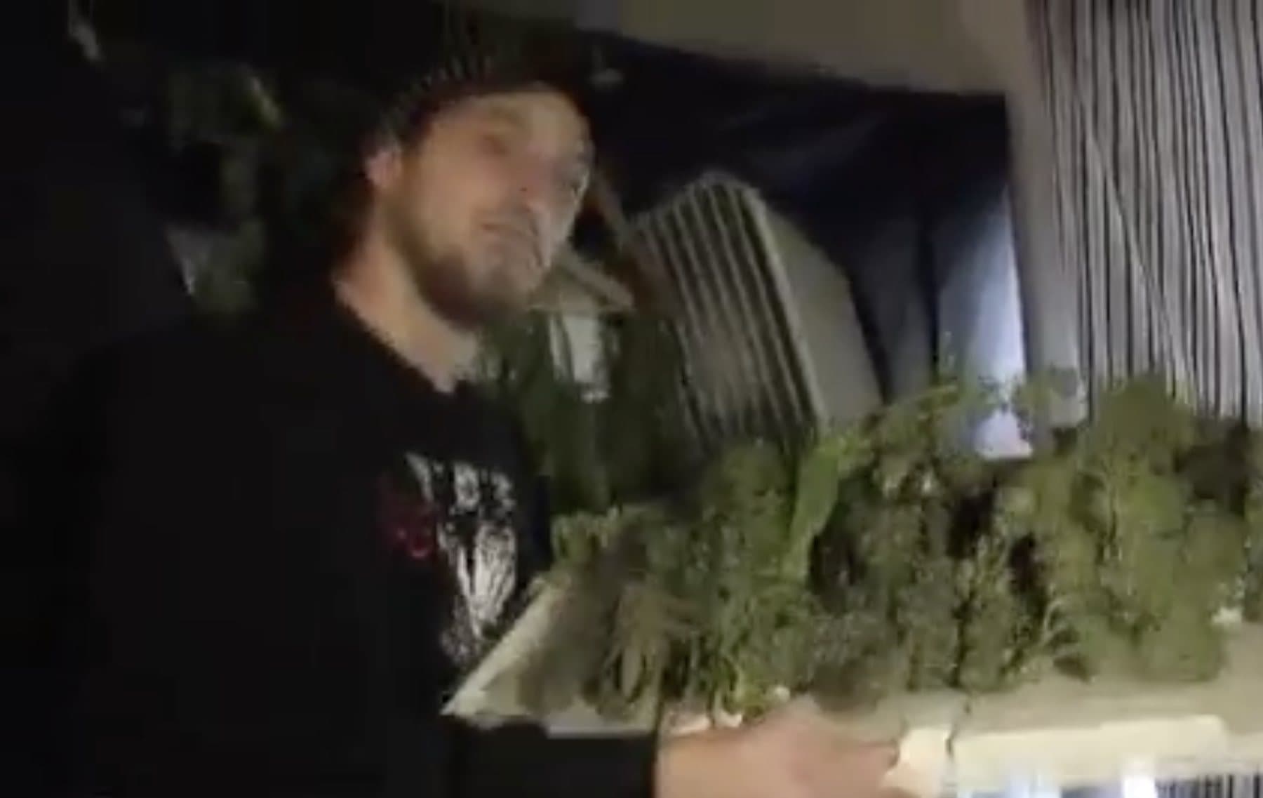 Video still: Hirsch with a tray of freshly cut cannabis branches.