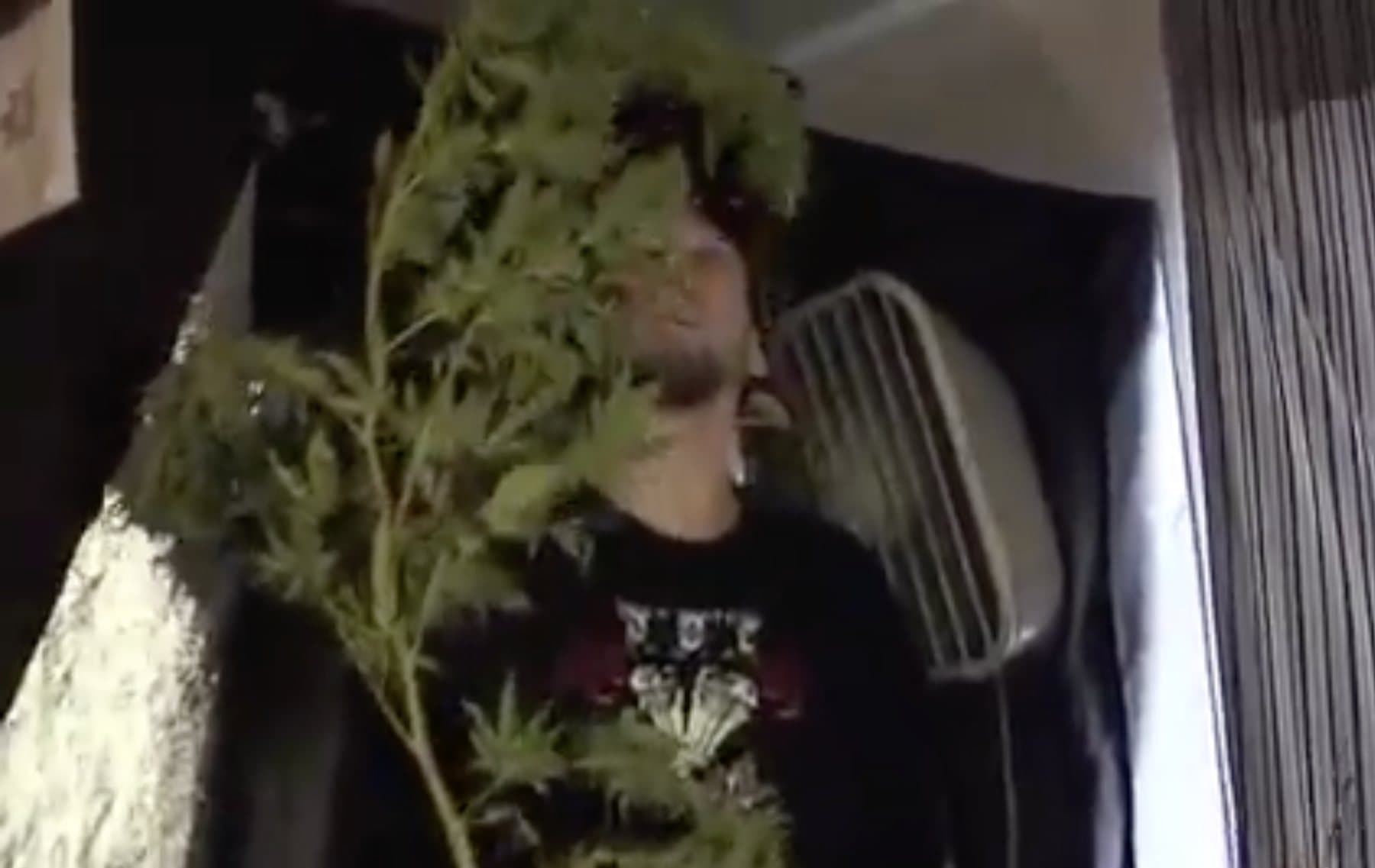 Video still: a cut branch held up in front of Hirsch’s face.